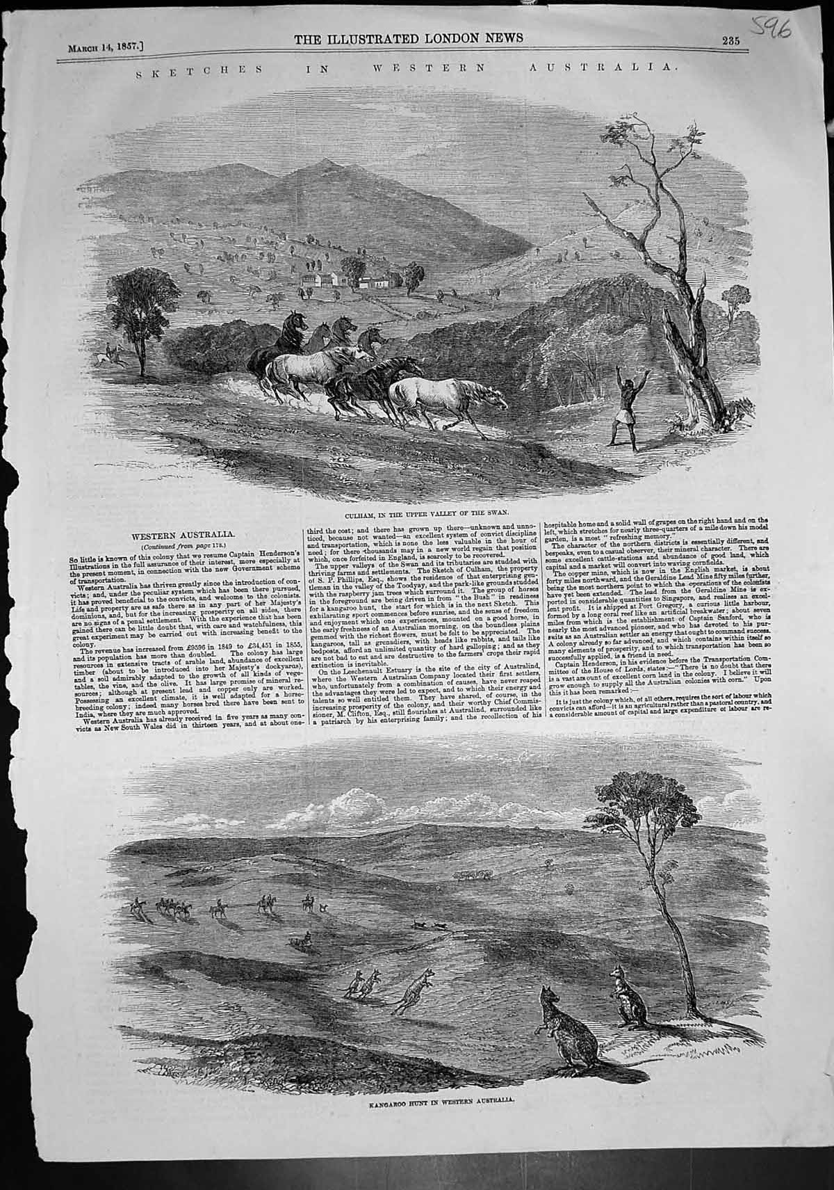 Antique Print Culham Upper Valley Swan Kangaroo Hunt Western Australia 1857