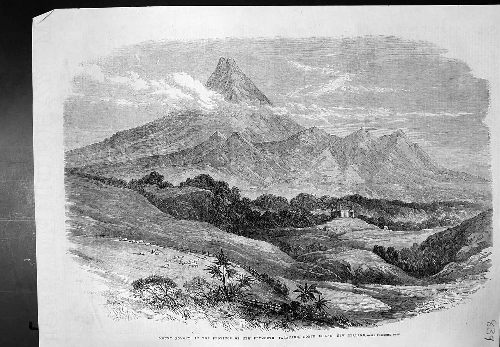 Antique Old Print Mount Egmont New Plymouth North Island New Zealand C 1864