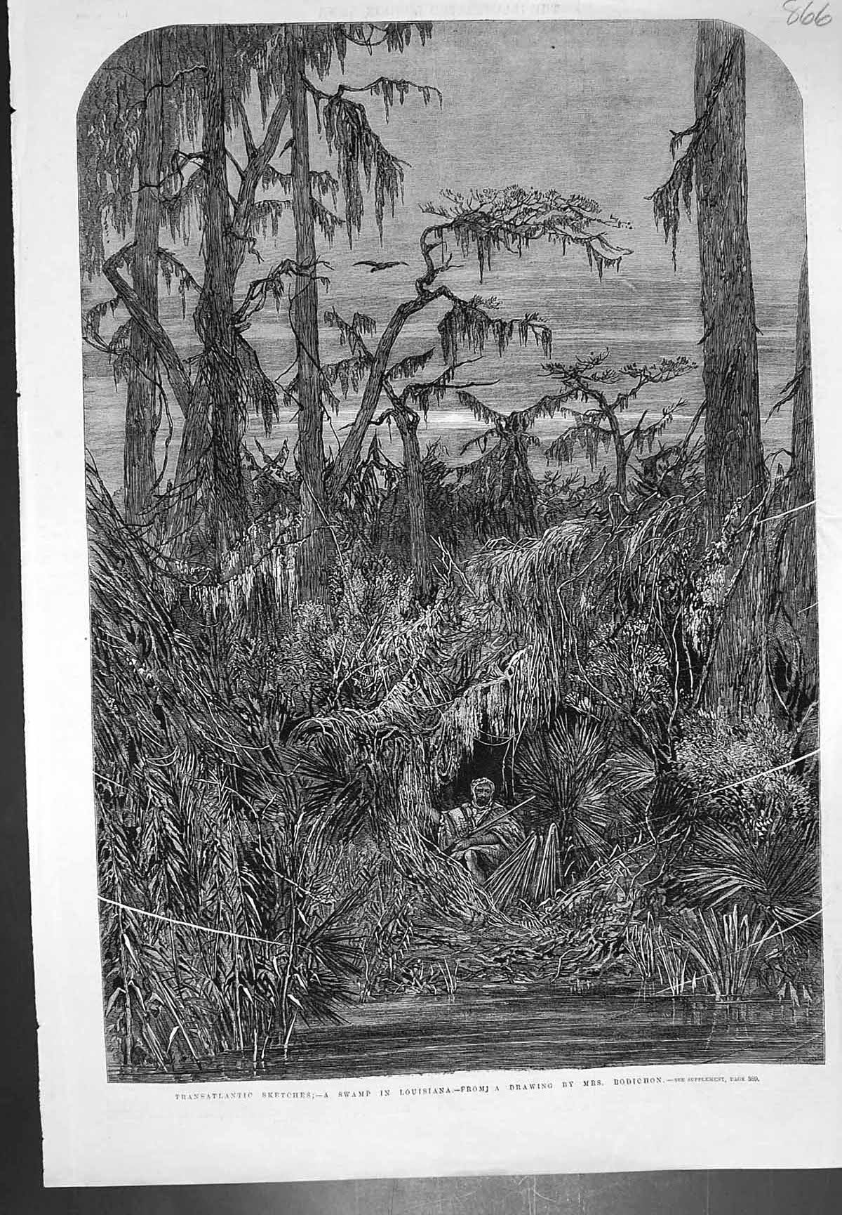 Antique Old Print Transatlantic Sketches Swamp Louisiana Mrs Bodichon C 1862
