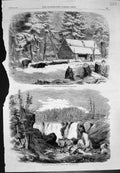 Old Lumbering New Brunswick Camp House Driving Logs Falls St John 185 Victorian