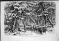 Original Old Antique Print Lumbering New Brunswick Lumbermen Work Forest 1858