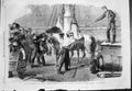 Antique Print Reinforcements Canada Shipping Horses Calcuttal Woolwich 1862