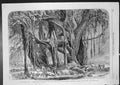 Antique Old Print Cotton Convoy Rewah Ganges Night Encampment Under Tree 1862