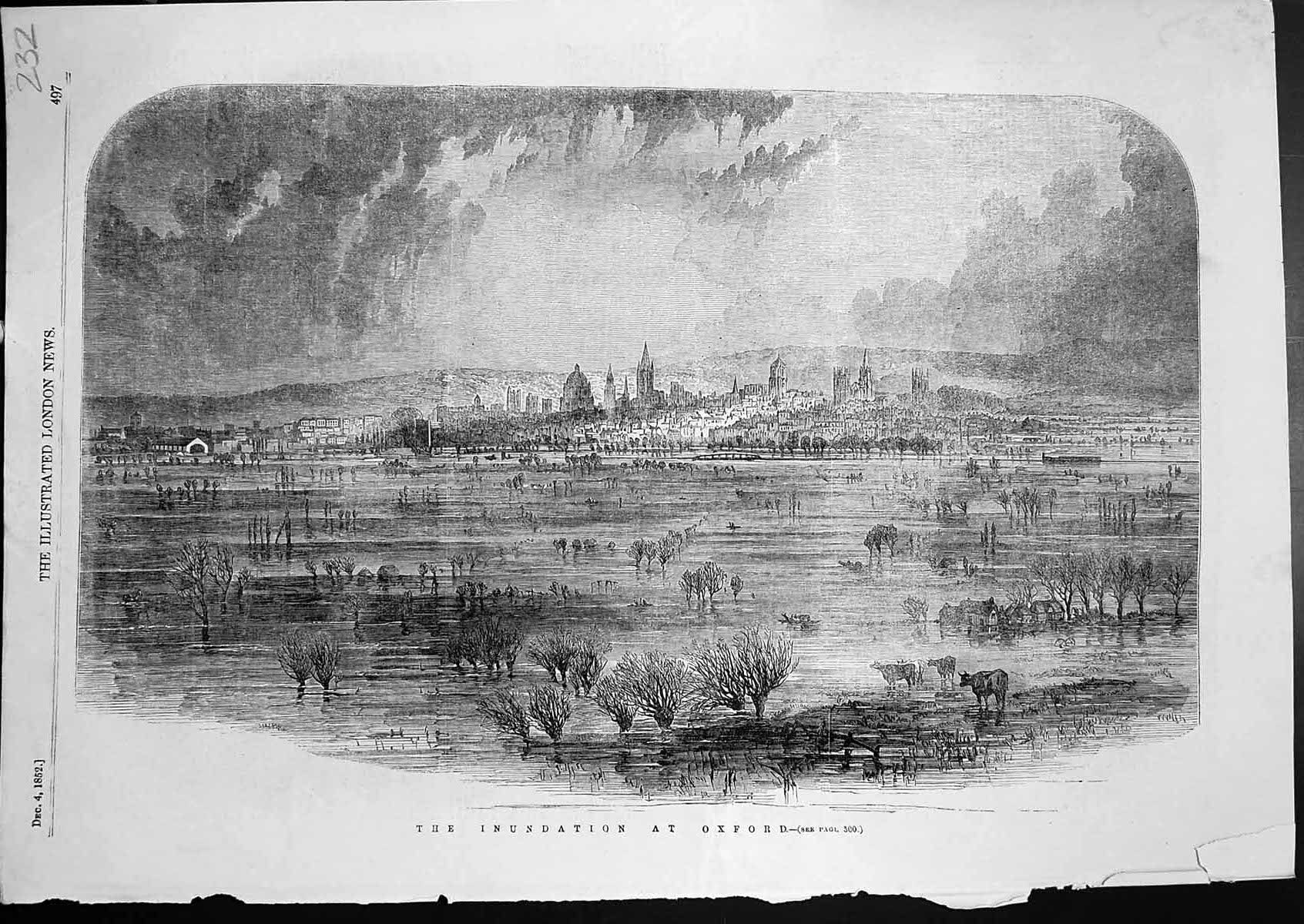 Original Old Antique Print Inundation Oxford Fields Flooded Cattle 1852 19th