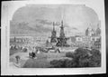 Old Prize Medals International Exhibition Procession Horticultural 18 19th