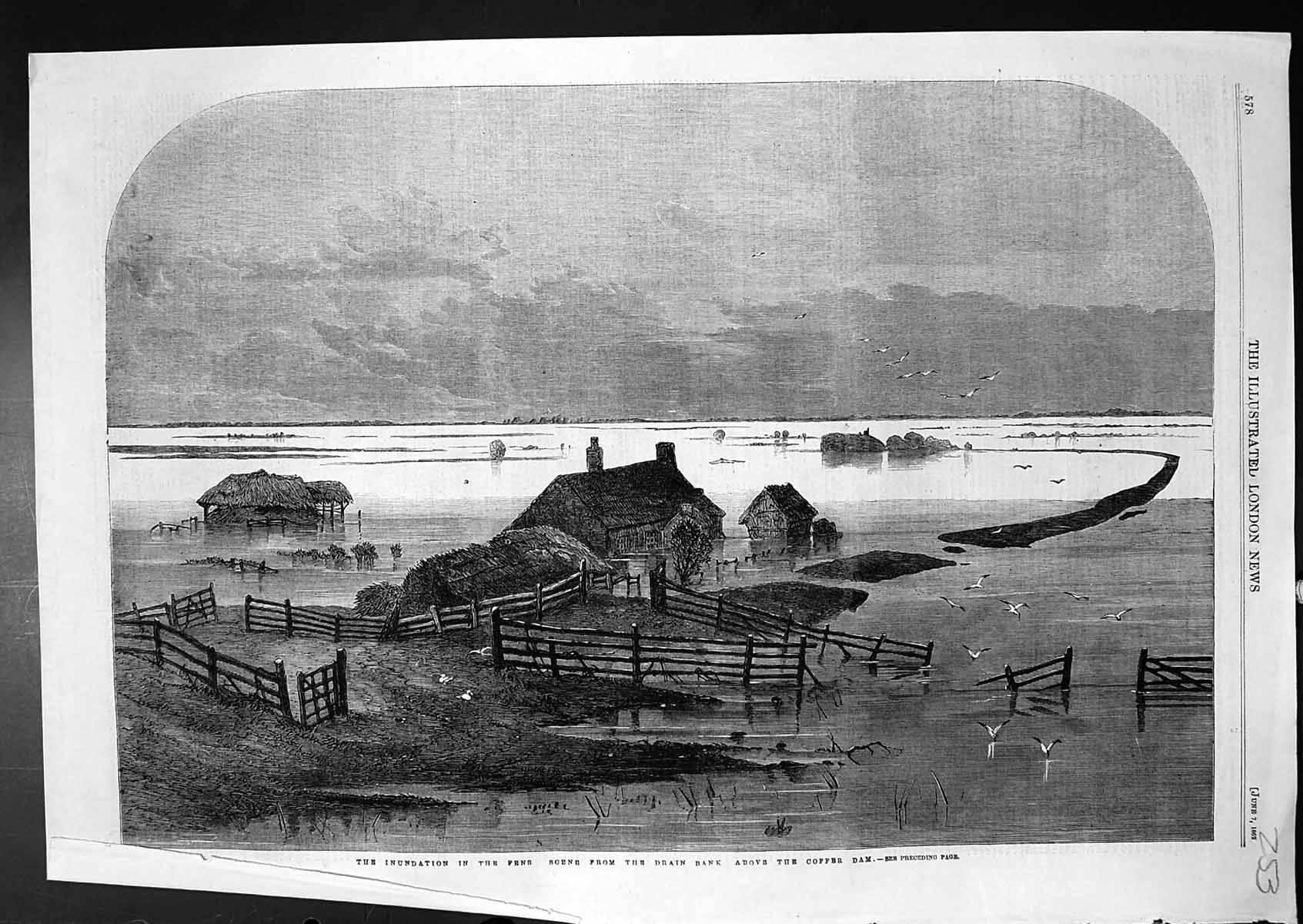 Old Antique Print Inundation Fens Scene Drain Bank Above Coffer Dam 1862 19th