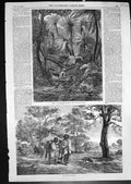 Old Print Part Fern Tree Gullet Dandynony Ranges Aborigines Victoria 1856 19th