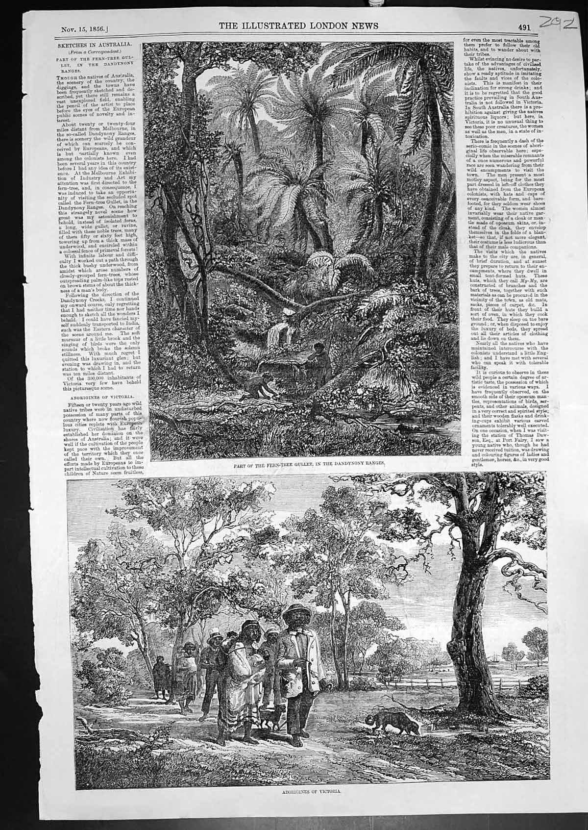 Old Print Part Fern Tree Gullet Dandynony Ranges Aborigines Victoria 1856 19th