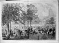 Antique Old Print Rotten Row G H Thomas Exhibition Royal Academy Horses 1862