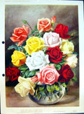 Original Old Antique Print Bowl Vase Sweet Roses Colour Flowers