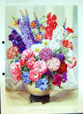 Original Old Antique Print Summer Colours Vase Colour Flowers