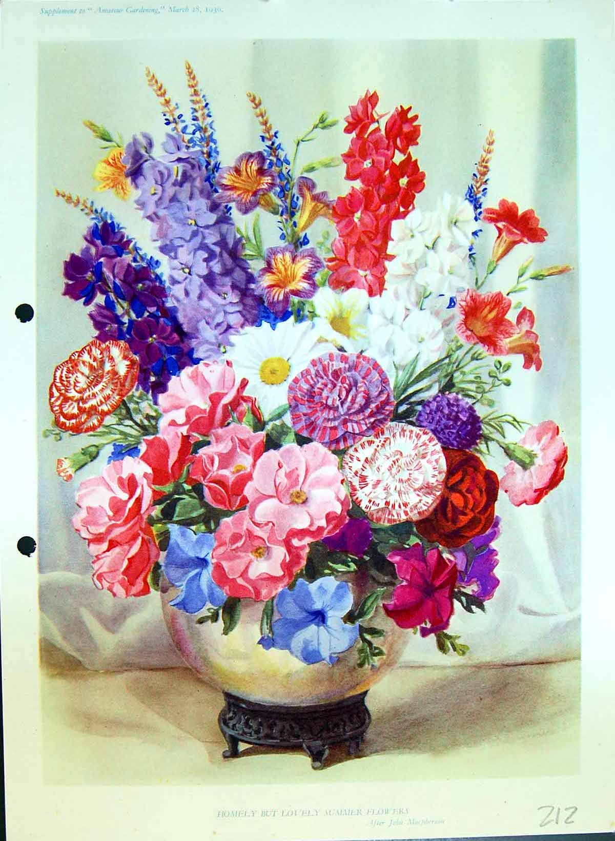 Original Old Antique Print Summer Colours Vase Colour Flowers