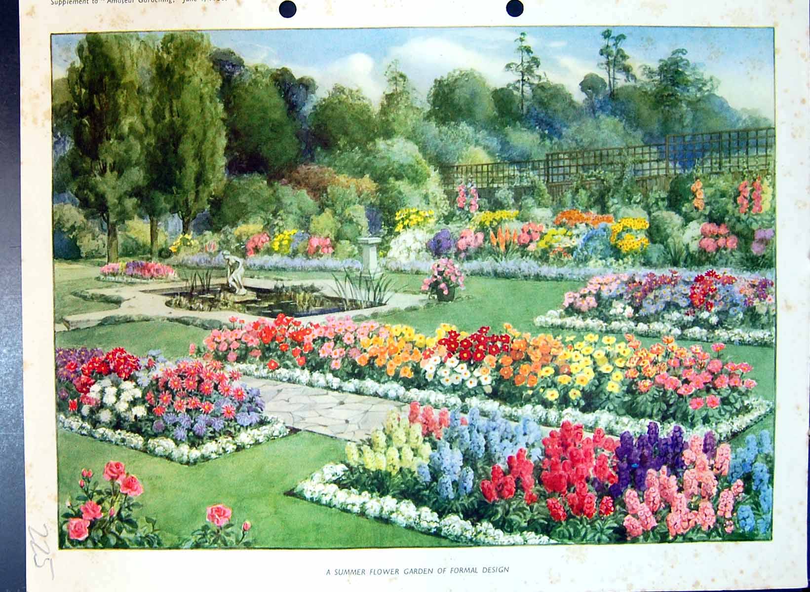 Original Old Antique Print Colour Flowers Summer Garden Formal Design