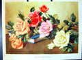Original Old Antique Print Fresh Garden Roses Colour Flowers