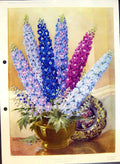 Original Old Antique Print Vase Choice Delphiniums Colour Flowers