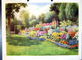 Original Old Antique Print August Border Surrey Garden Colour Flowers