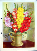 Original Old Antique Print Gladiolus Vase Colour Flowers