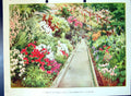Old Antique Print Floral Gaiety Conservatory Winter Scene Colour Flowers