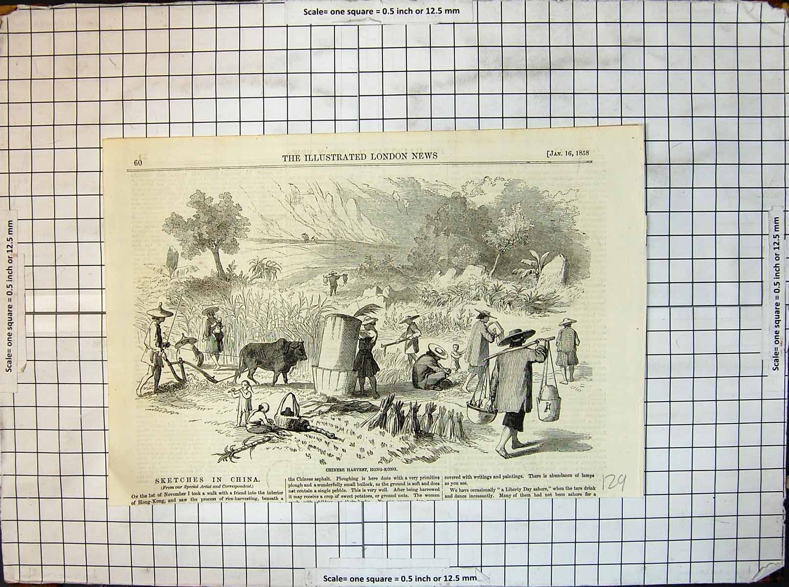 Antique Print Chinese Harvest Hong Kong Buffalo Plough Carrying Pales 1858 19th