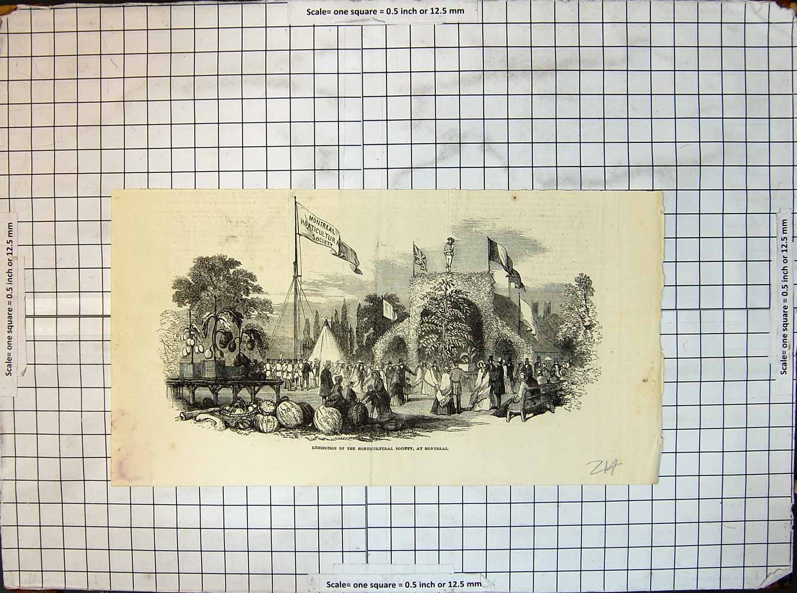 Original Old Antique Print Exhibition Horticultural Society Montreal