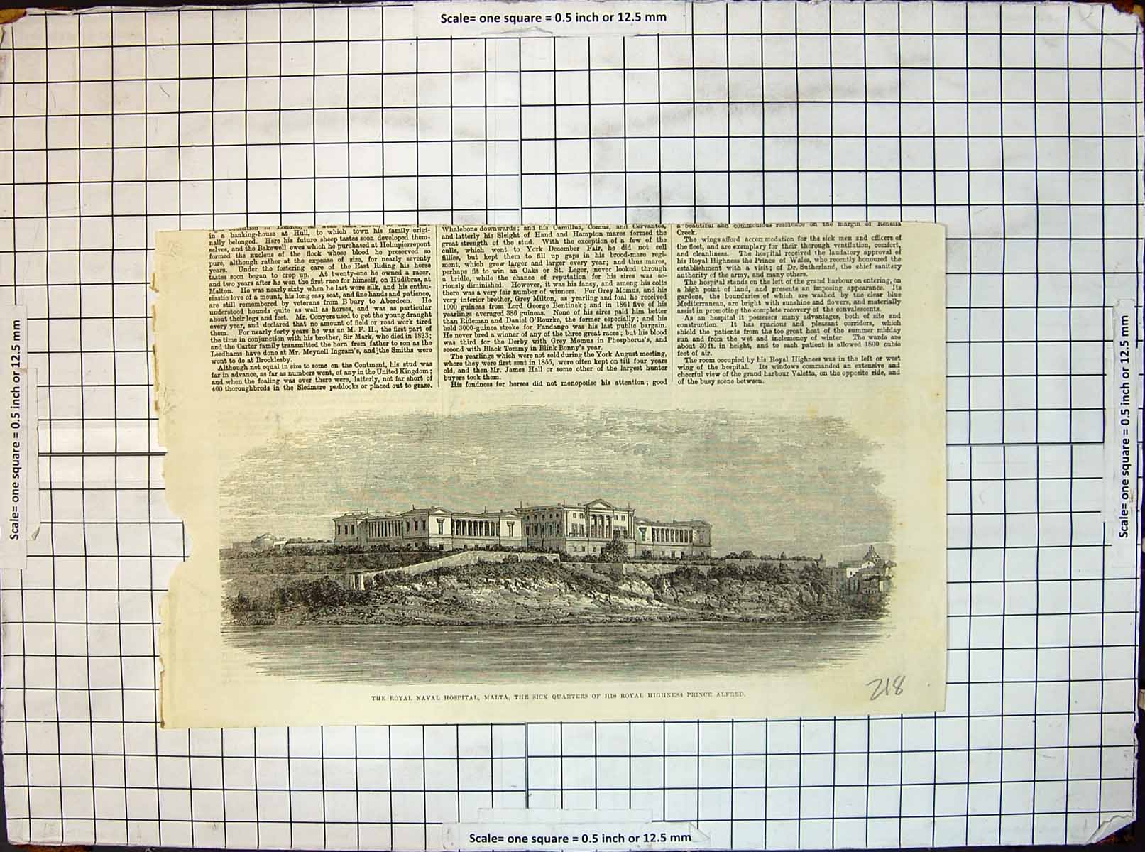 Antique Print Royal Naval Hospital Malta Sick Quarters H R H Prince Alfred