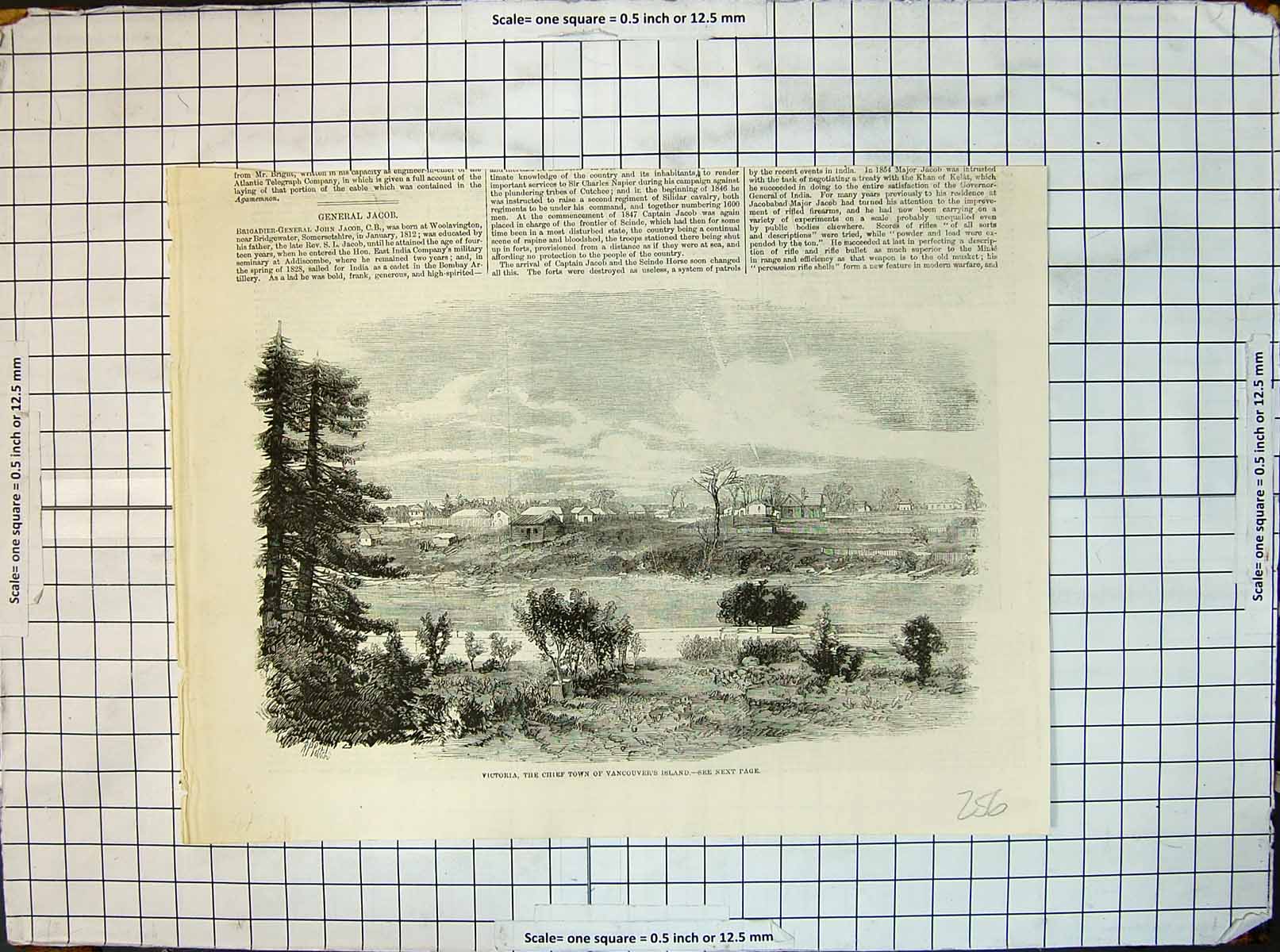 Original Old Antique Print Victoria Chief Town Vancouver Island River