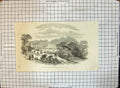 Original Old Antique Print Horticultural Fete Park Bishop Auckland 1853 19th