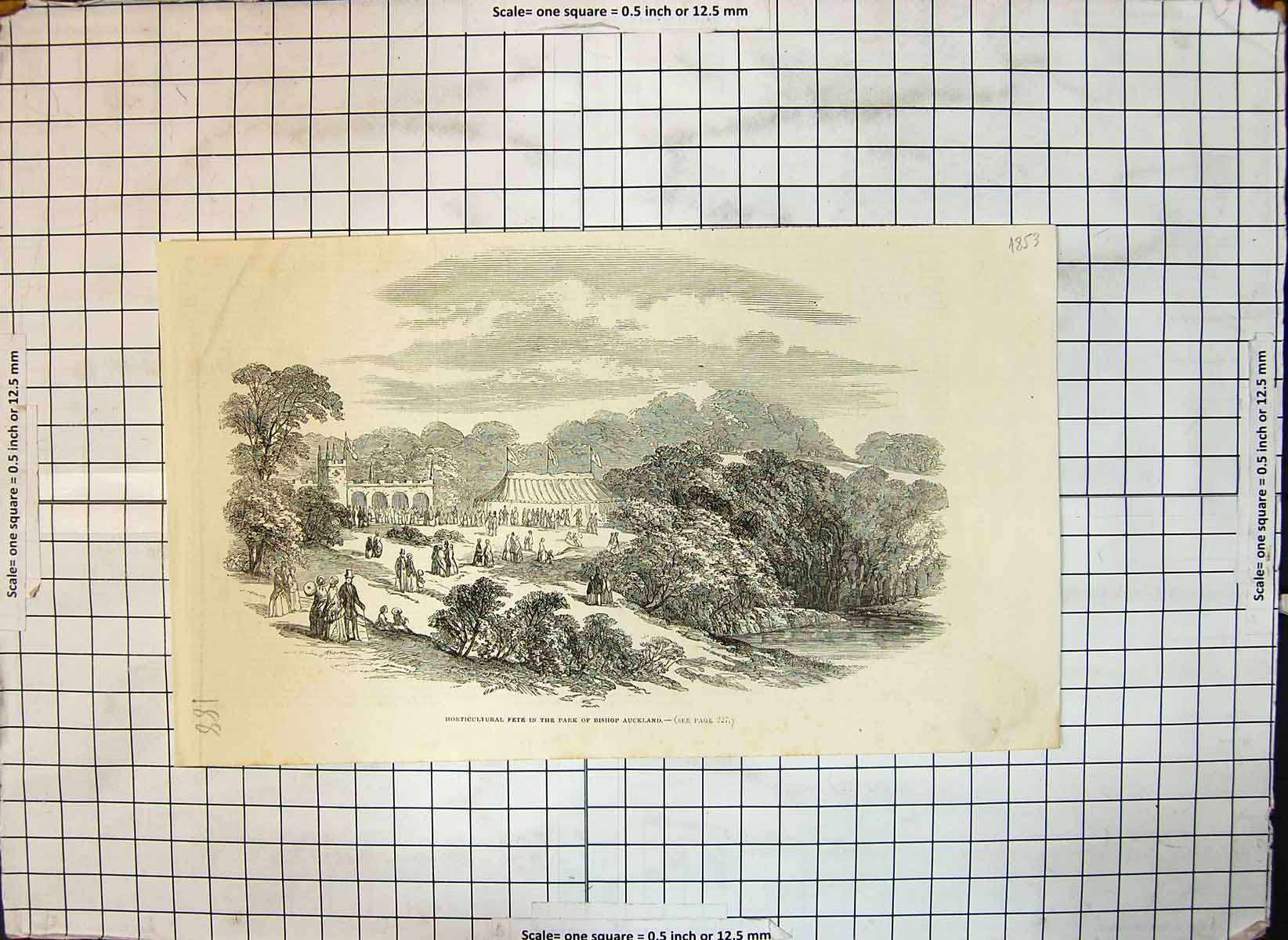 Original Old Antique Print Horticultural Fete Park Bishop Auckland 1853 19th