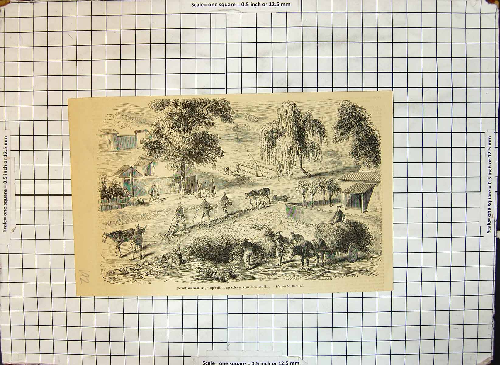 Old Print Agricultural Operations Around Peking Gathering Crops M Marchal 20th