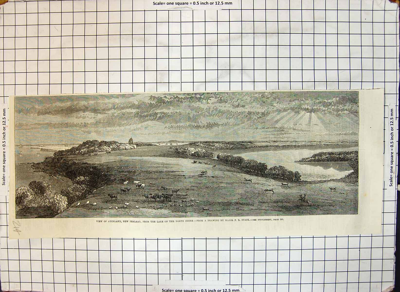 Antique Old Print View Auckland New Zealand From Lake North Shore Major Stack