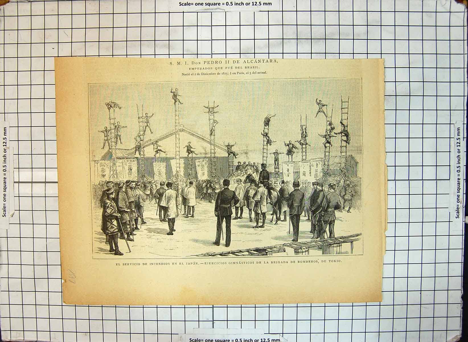 Original Old Antique Print Japan Gymnastic Display Bomber Brigade Tokio