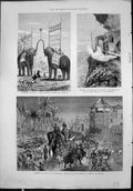 Antique Print Colombo Triumphal Arch Elephants Kandy Festival Los Indigenas