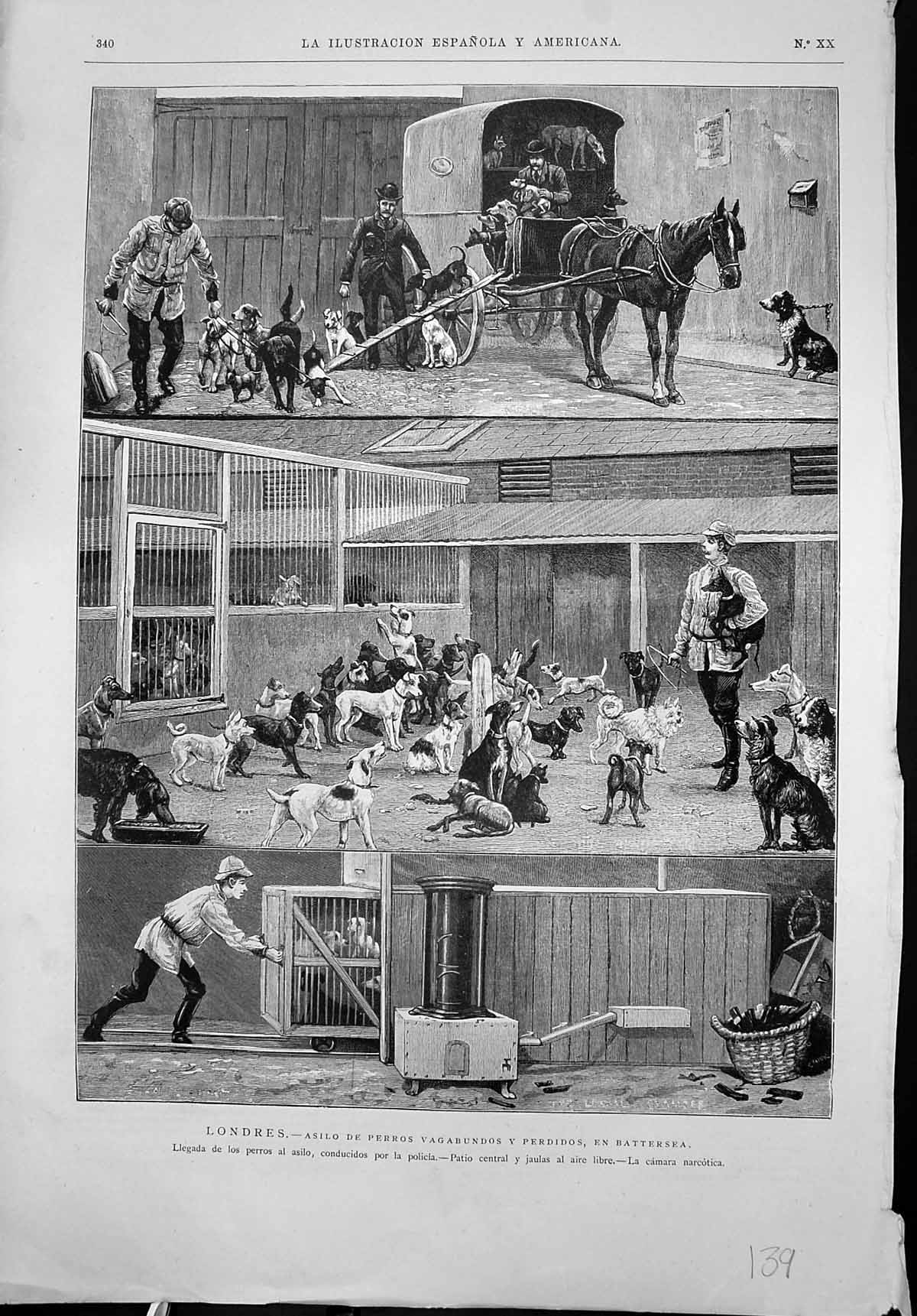 Original Old Antique Print London Home Kennels Homeless Dogs Battersea