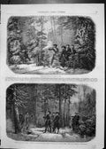 Old Antique Print Emperor Russia Shooting Bear Capture Young Bear Forest