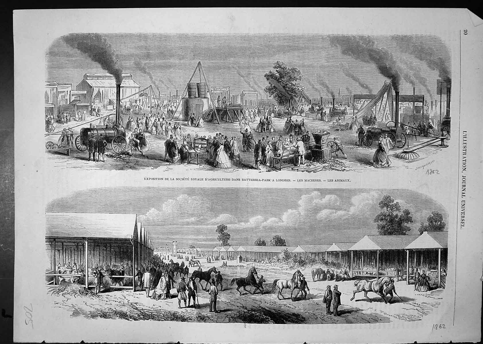 Old Exhibition Agricultural Soc Battersea Park London Animals Machine