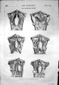 Old Print New Blackfriears Bridge Decoration Principal Capitals View 1869 19th
