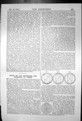 Original Old Antique Print Notes Conversion Seasoning Timber Logs Beams 1874