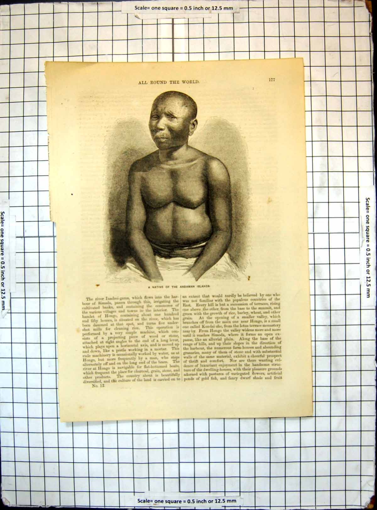 Original Old Antique Print All Round World Native Andaman Islands