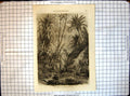 Old Antique Print All Round World Virgin Forest Car Nicobar Indian Ocean