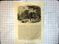 Original Old Antique Print All Round World Village Java 18th Century