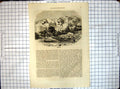 Original Old Antique Print All Round World View Nazareth Town 18th Century