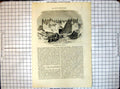 Original Old Antique Print All Round World Damascus Gate Jerusalem 19th Century