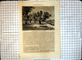Original Old Antique Print All Round World Field Blood Valley Hinnom 19th