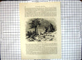 Original Old Antique Print All Round World Sledge Dogs Amoor 20th Century