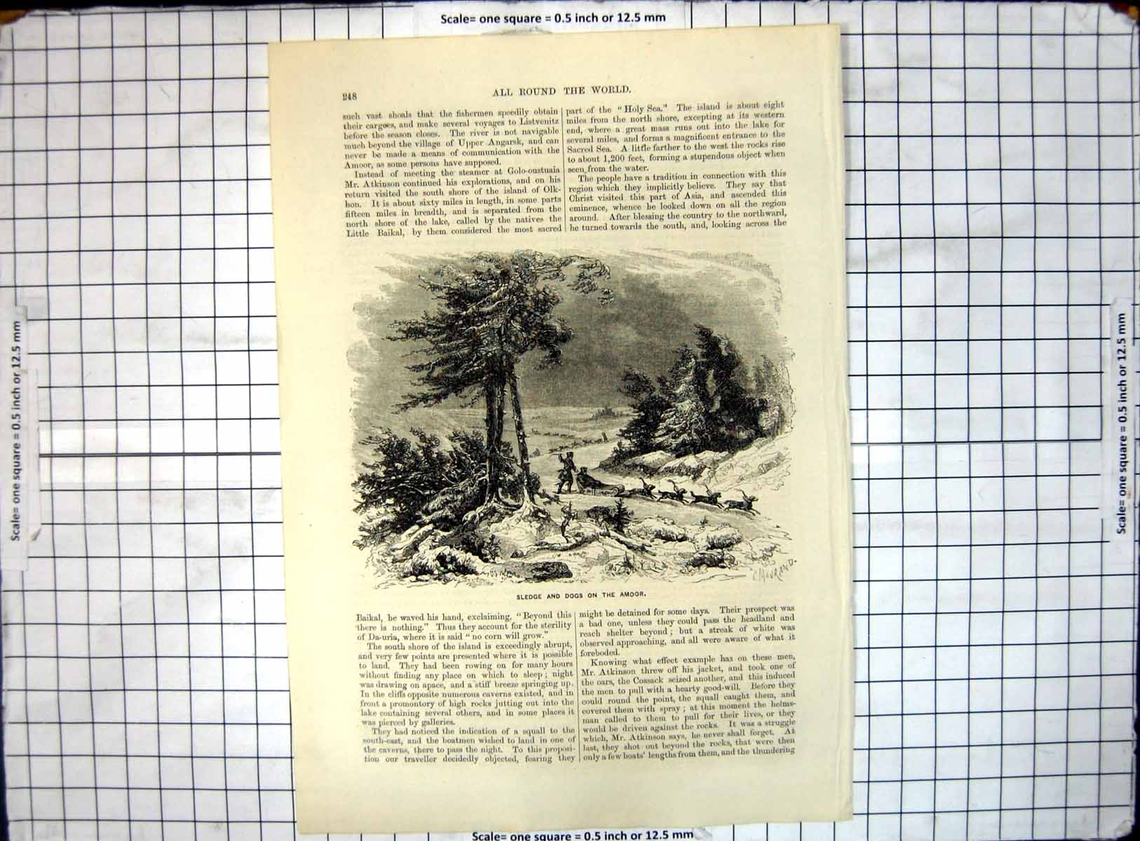 Original Old Antique Print All Round World Sledge Dogs Amoor 20th Century
