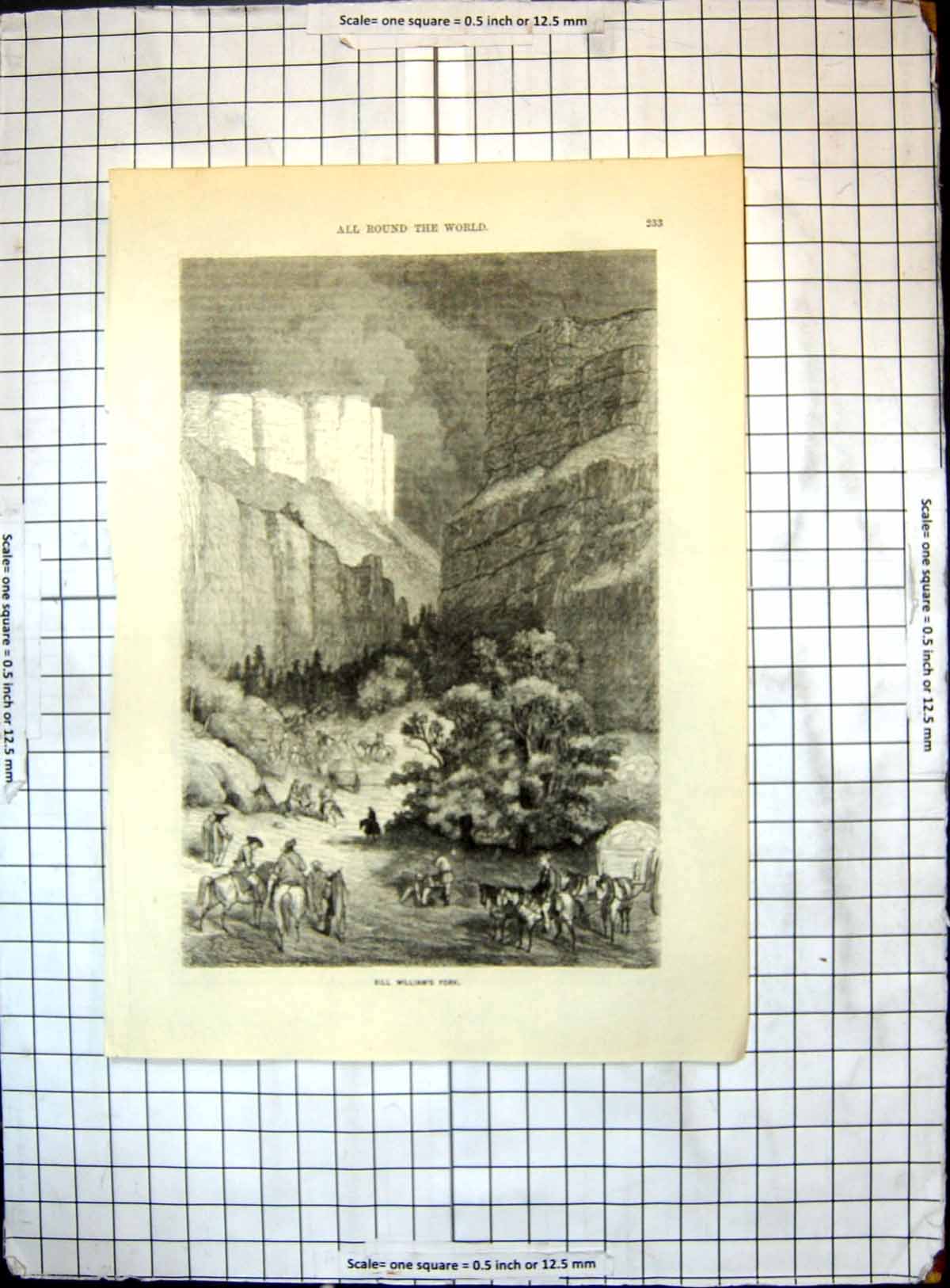Original Old Antique Print All Round World Bill Williams Fork