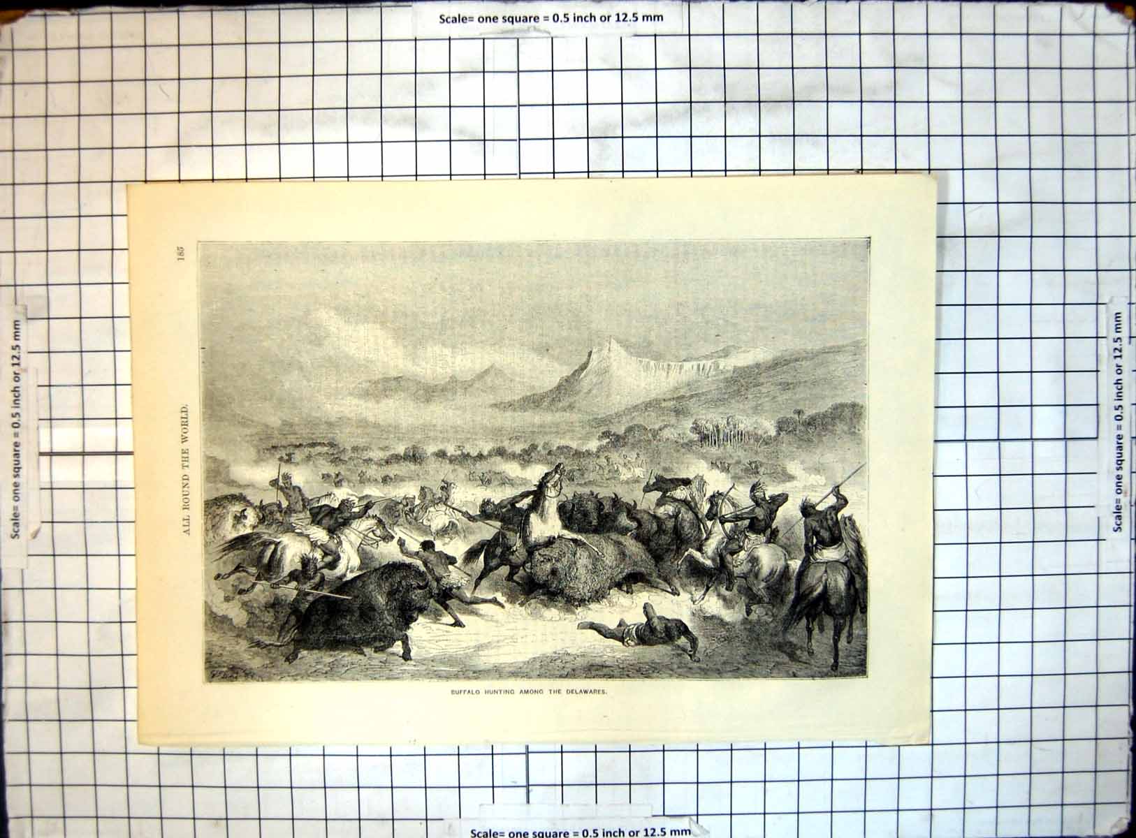 Original Old Antique Print All Round World Buffalo Hunting Among Delawares