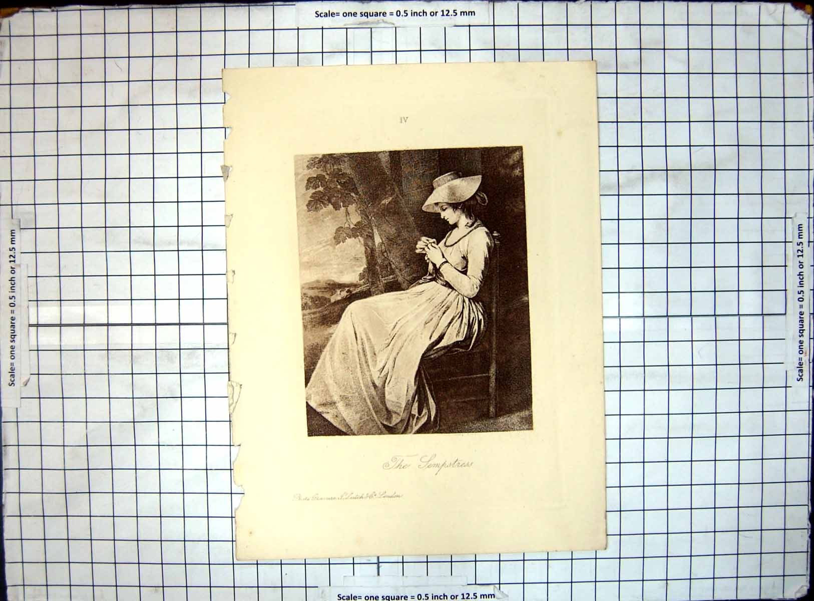 Original Old Antique Print Temptress Lady Hat Sitting Photo G Leitch London
