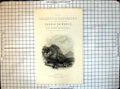 Old Print Gallery Geography Tour World Rev Thomas Milner House Boats 1502