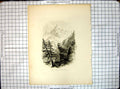 Original Old Antique Print Haunts Chamois Rocks Mountains Forest